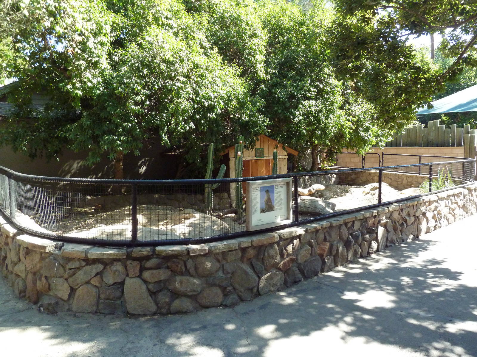 Black-Tailed Prairie Dog Exhibit