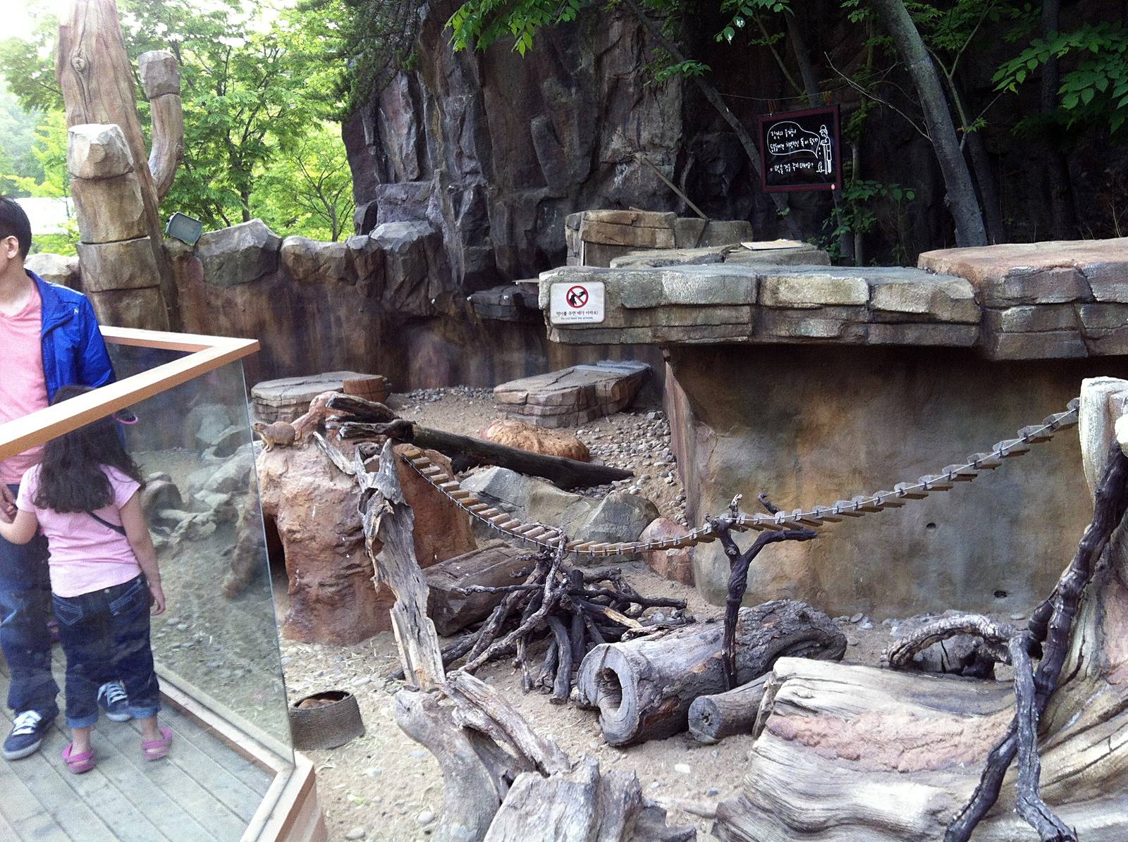 Black-Tailed Prairie Dog Exhibit