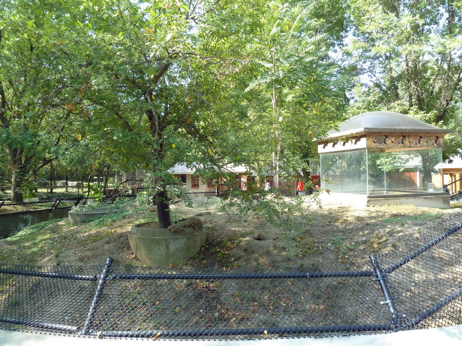 Black-Tailed Prairie Dog Exhibit