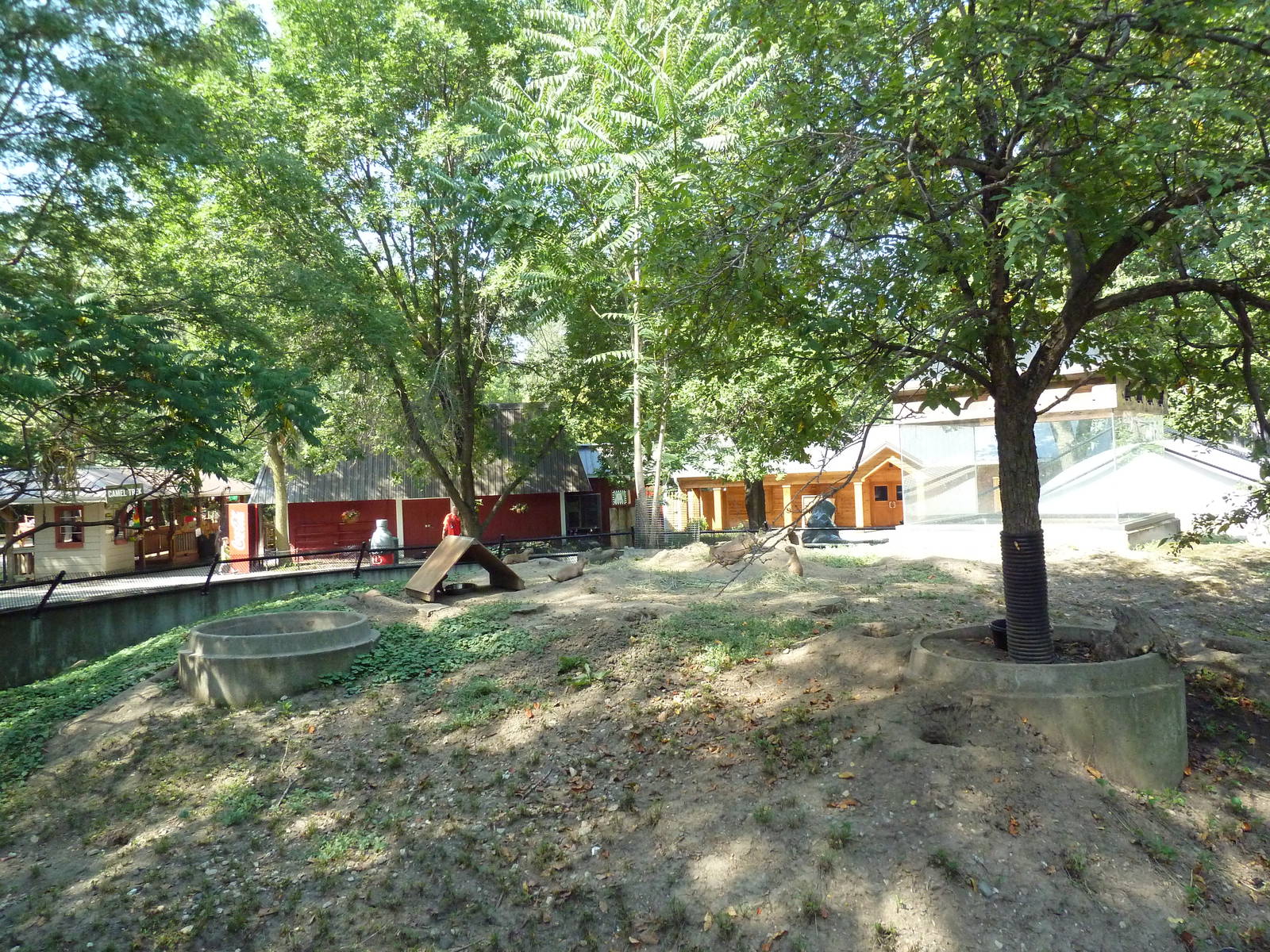 Black-Tailed Prairie Dog Exhibit