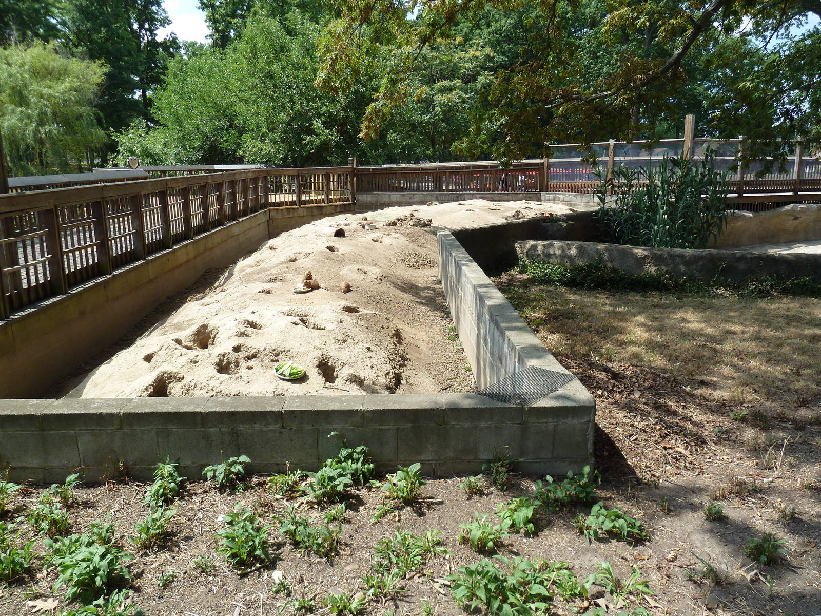 Black-Tailed Prairie Dog Exhibit