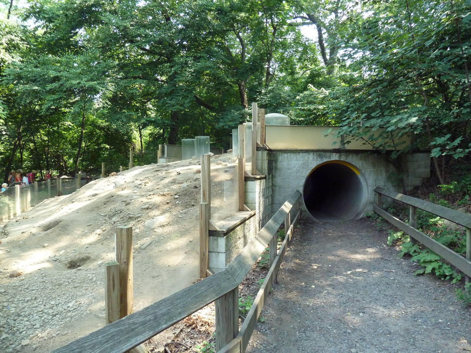 Black-Tailed Prairie Dog Exhibit