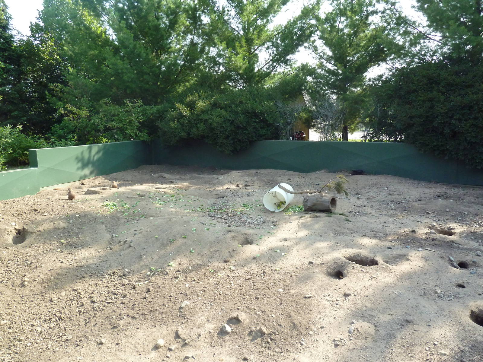 Black-Tailed Prairie Dog Exhibit