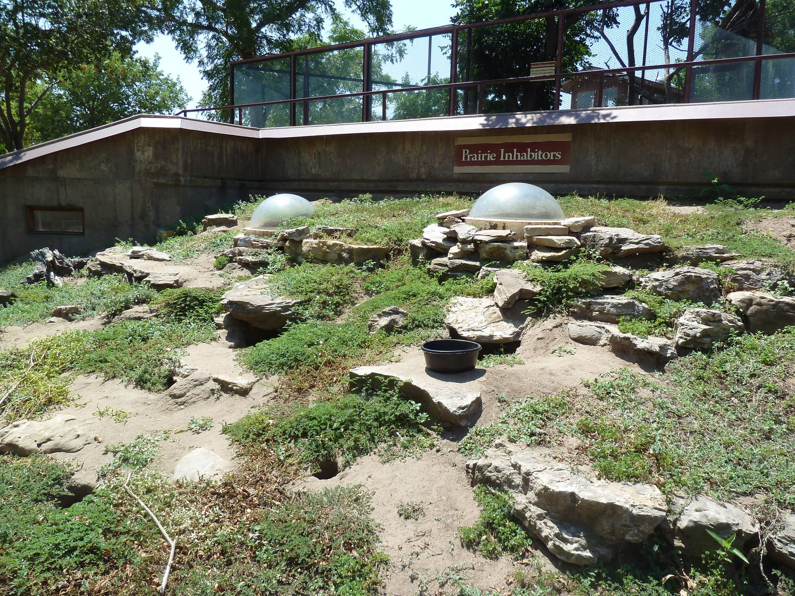 Black-Tailed Prairie Dog Exhibit