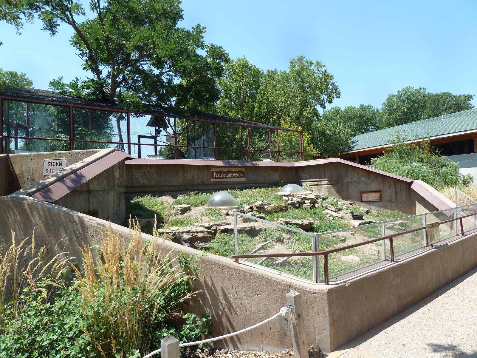 Black-Tailed Prairie Dog Exhibit