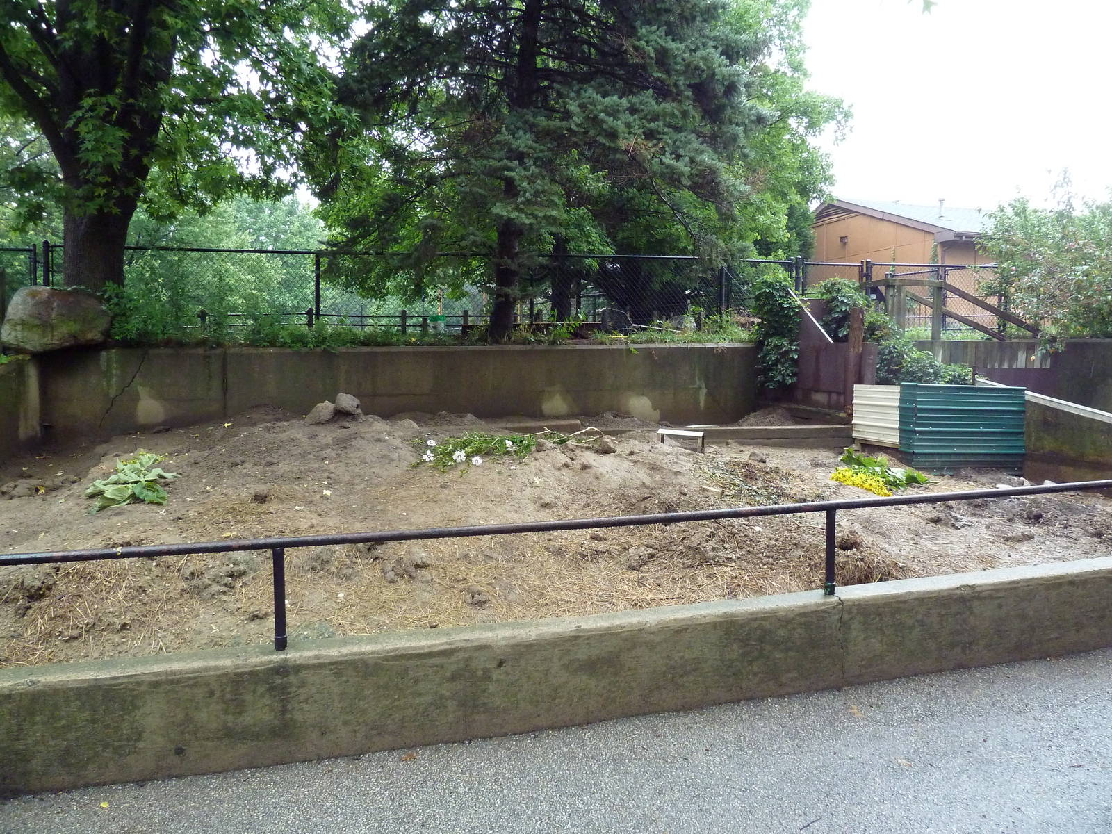 Black-Tailed Prairie Dog Exhibit