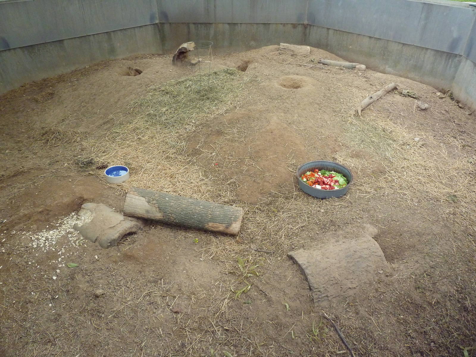 Black-Tailed Prairie Dog Exhibit