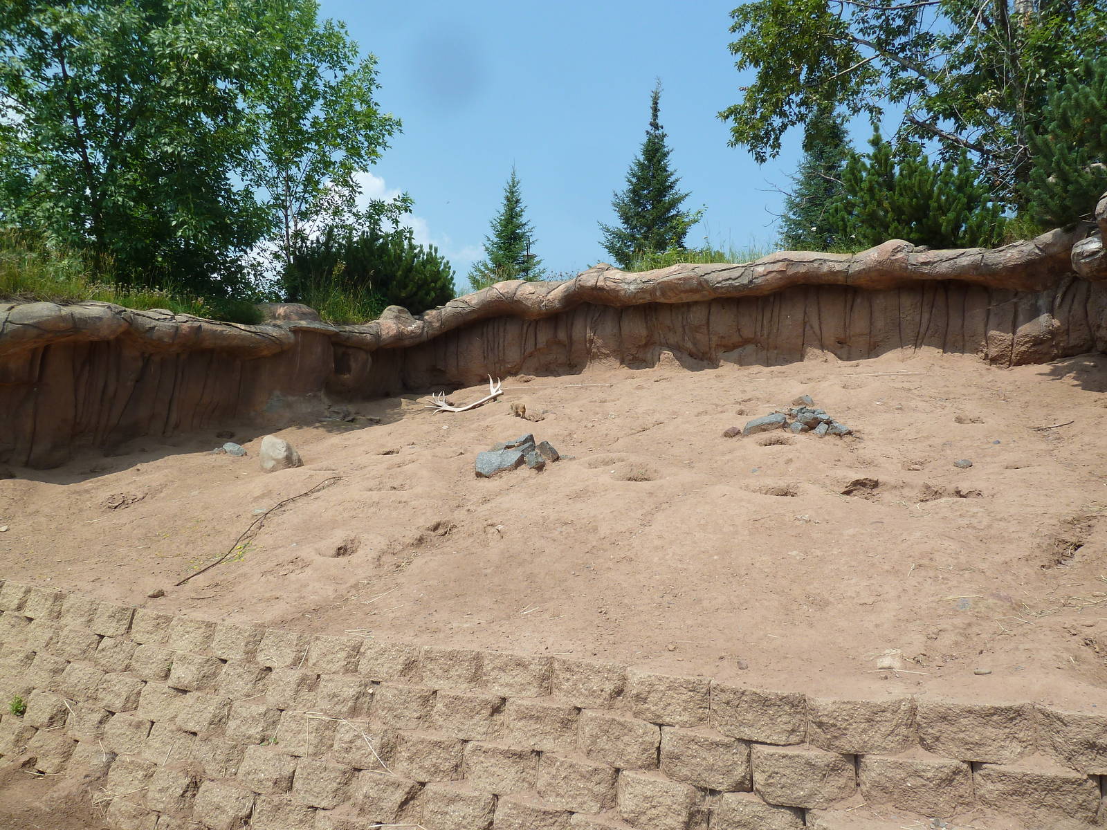 Black-Tailed Prairie Dog Exhibit