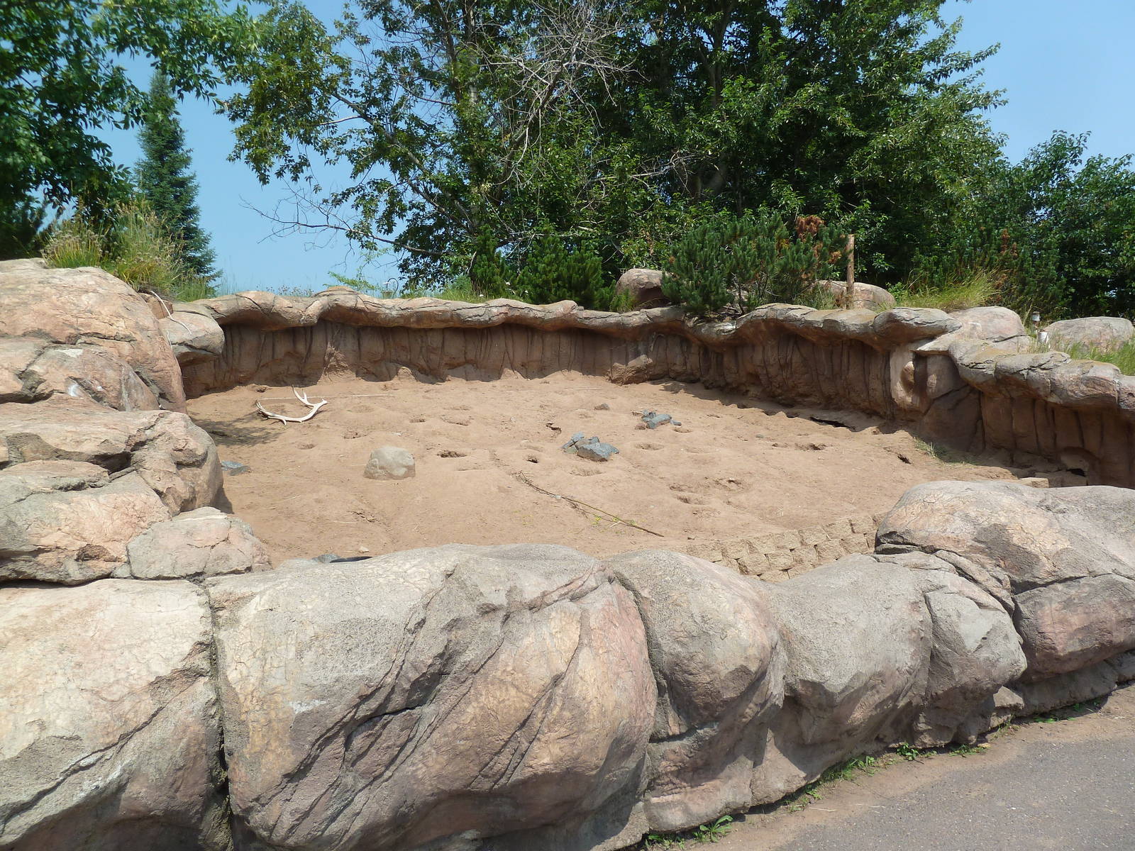 Black-Tailed Prairie Dog Exhibit