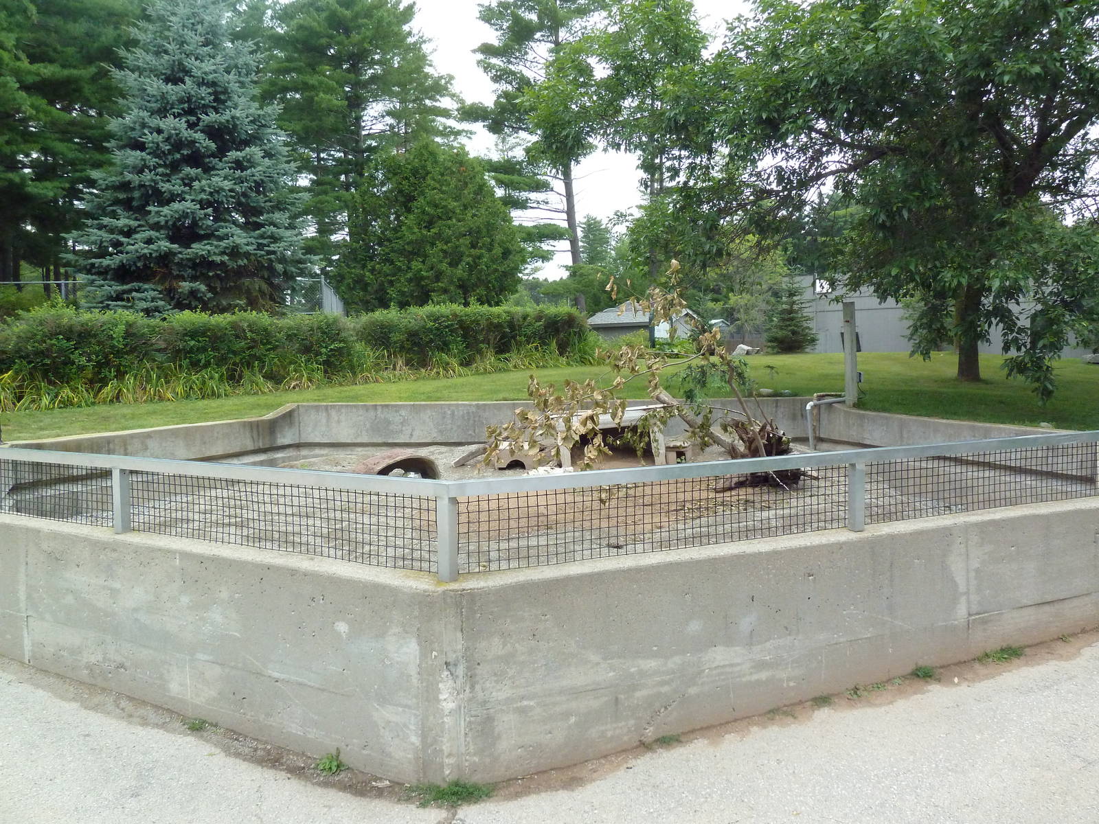 Black-Tailed Prairie Dog Exhibit