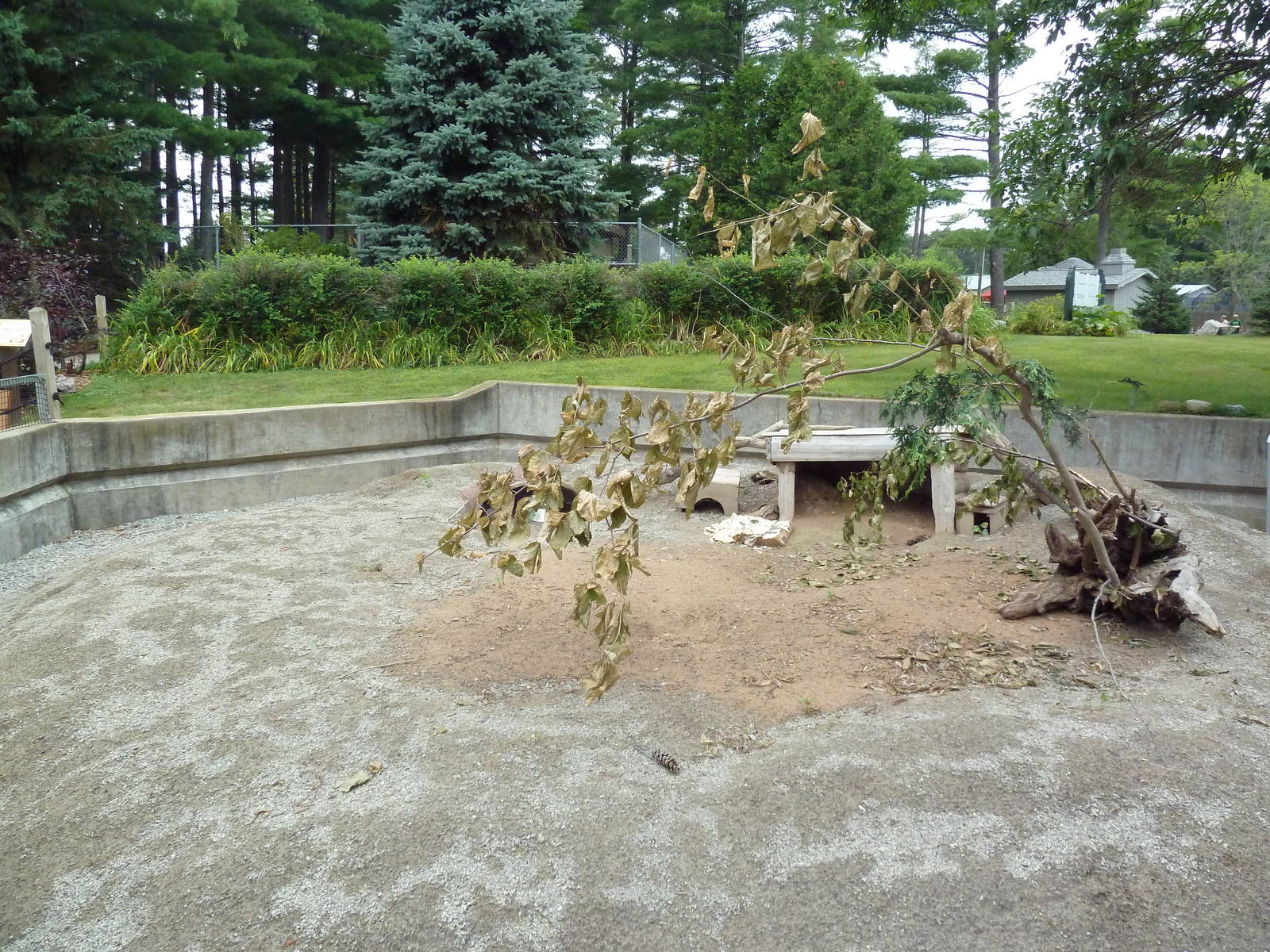 Black-Tailed Prairie Dog Exhibit