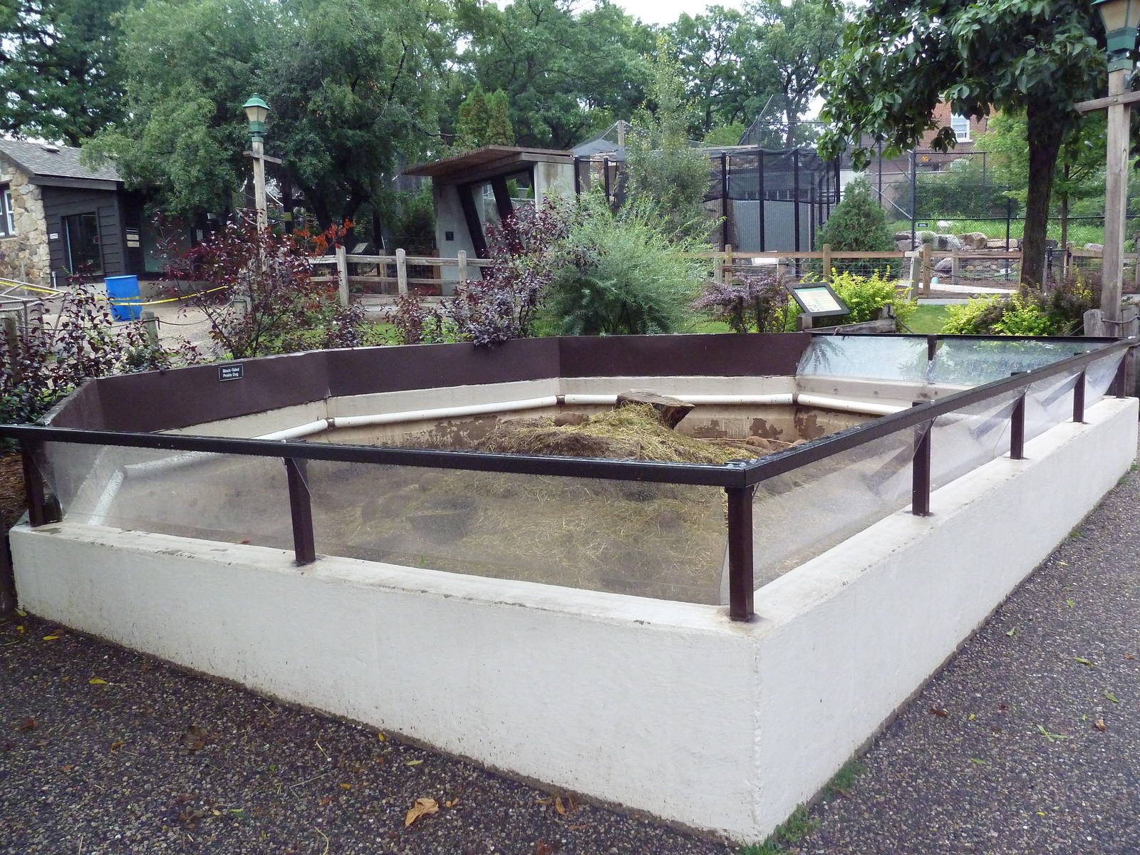 Black-Tailed Prairie Dog Exhibit