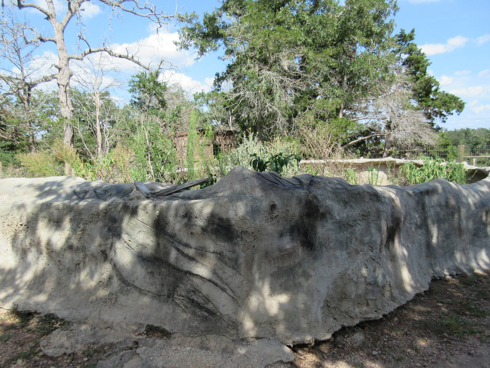 Black-Tailed Prairie Dog Exhibit
