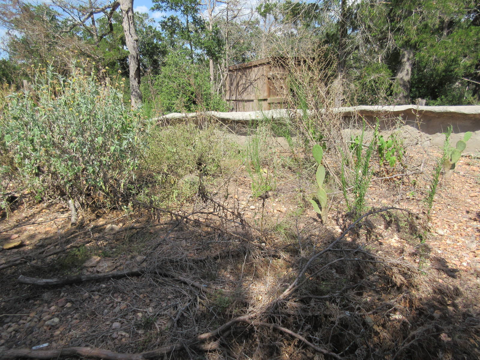 Black-Tailed Prairie Dog Exhibit