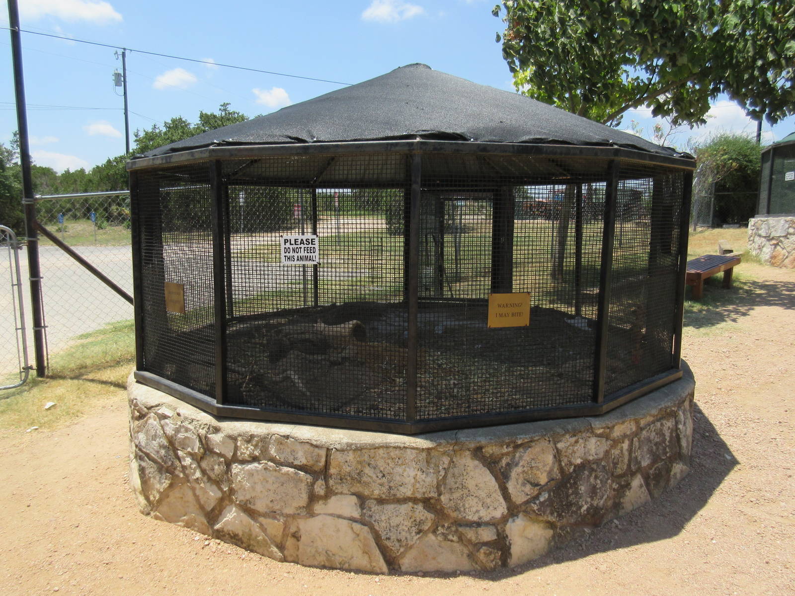 Black-Tailed Prairie Dog Exhibit