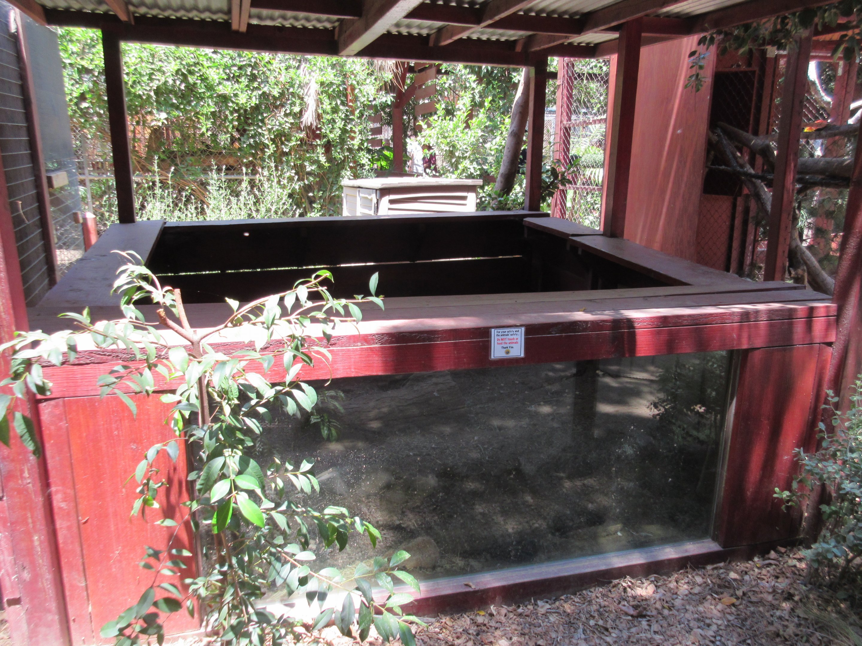 Black-Tailed Prairie Dog Exhibit
