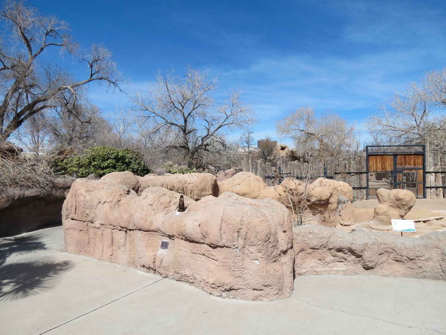Black-tailed Prairie Dog Exhibit