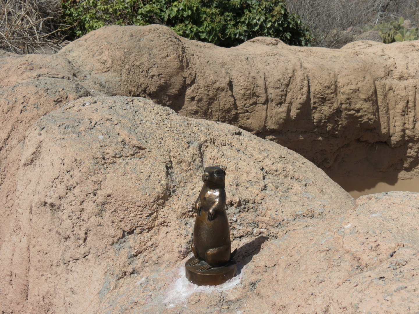 Black-tailed Prairie Dog Exhibit