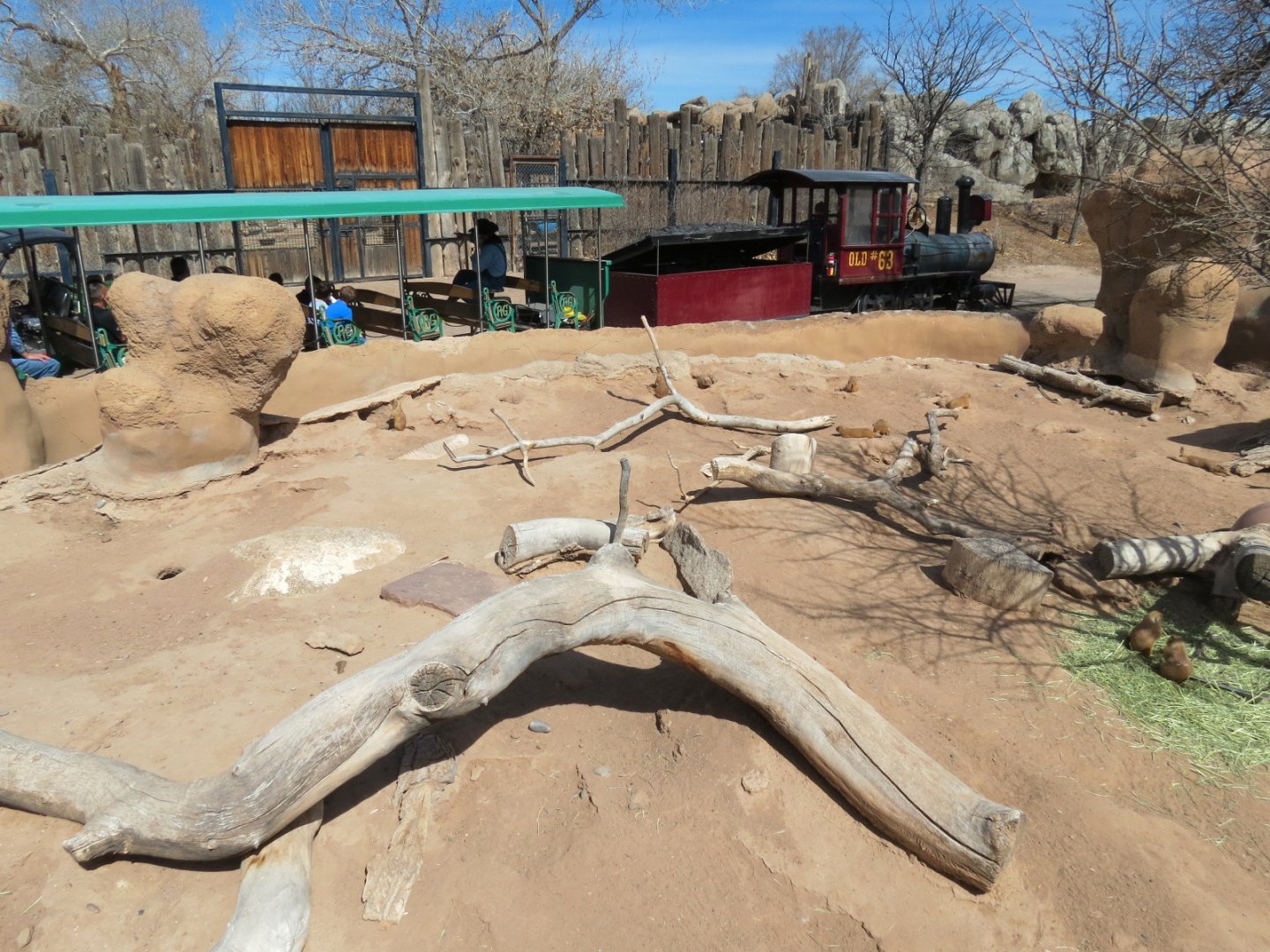 Black-tailed Prairie Dog Exhibit