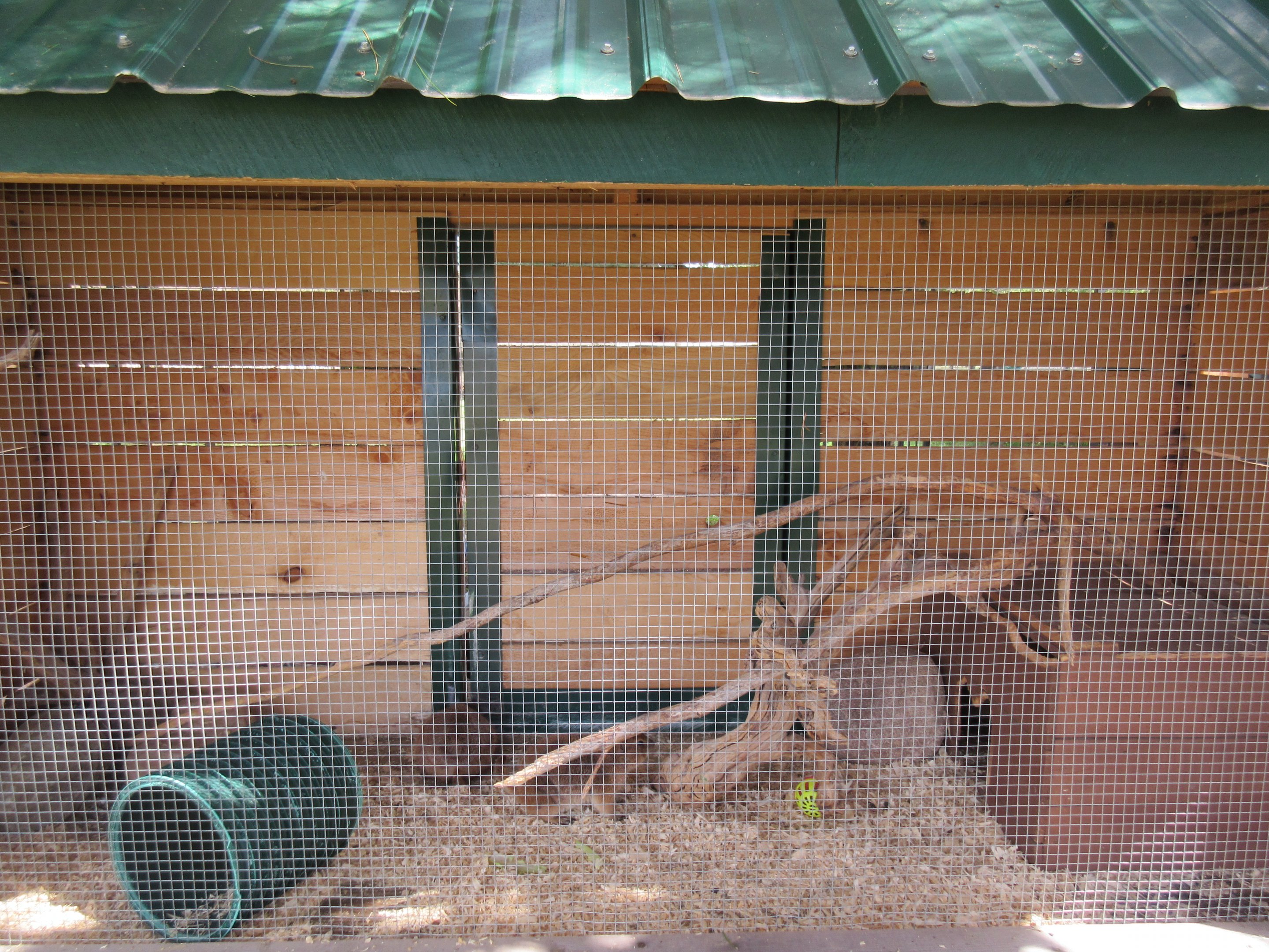 Black-tailed Prairie Dog Exhibit