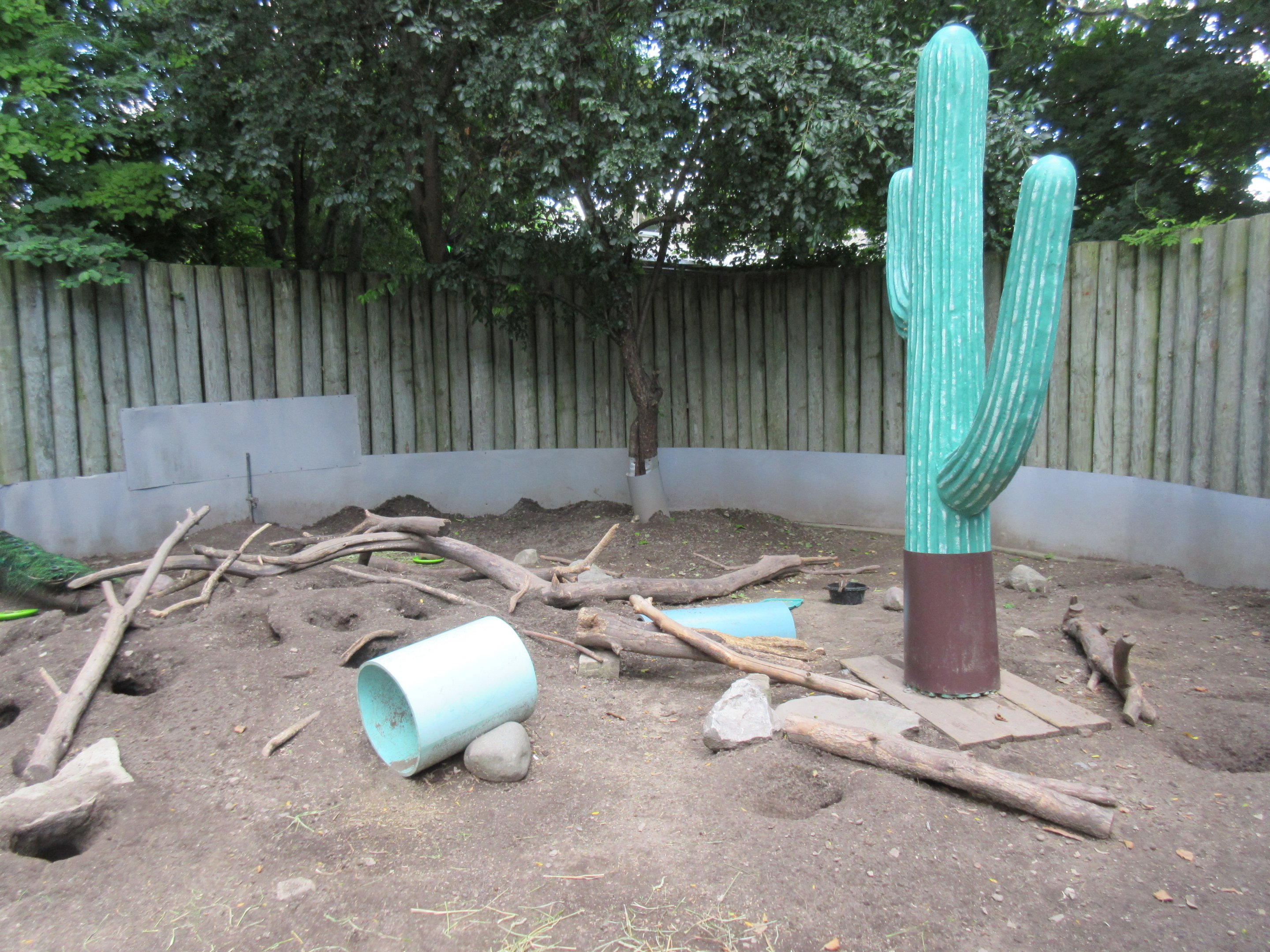 Black-tailed Prairie Dog Exhibit