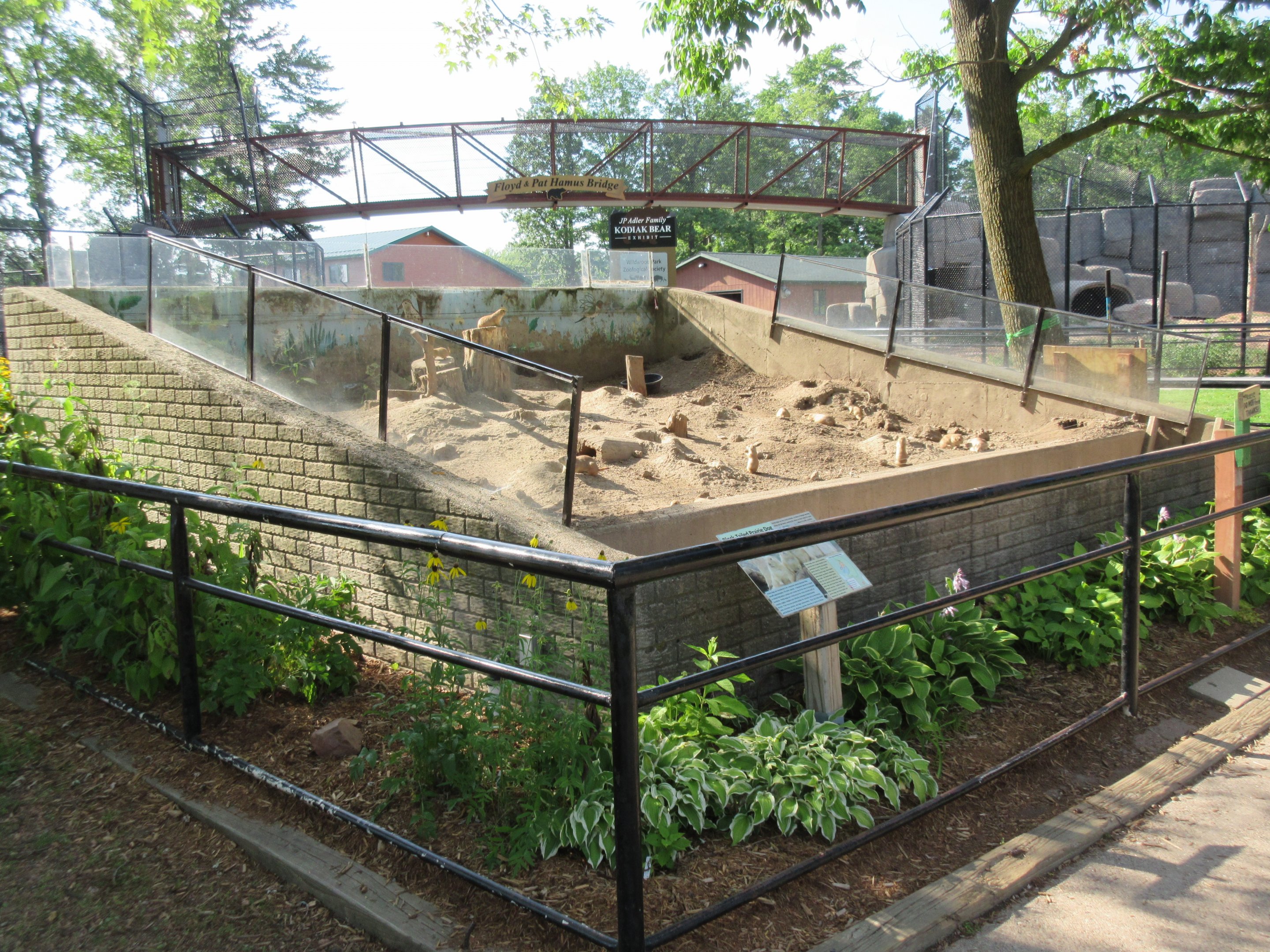 Black-tailed Prairie Dog Exhibit