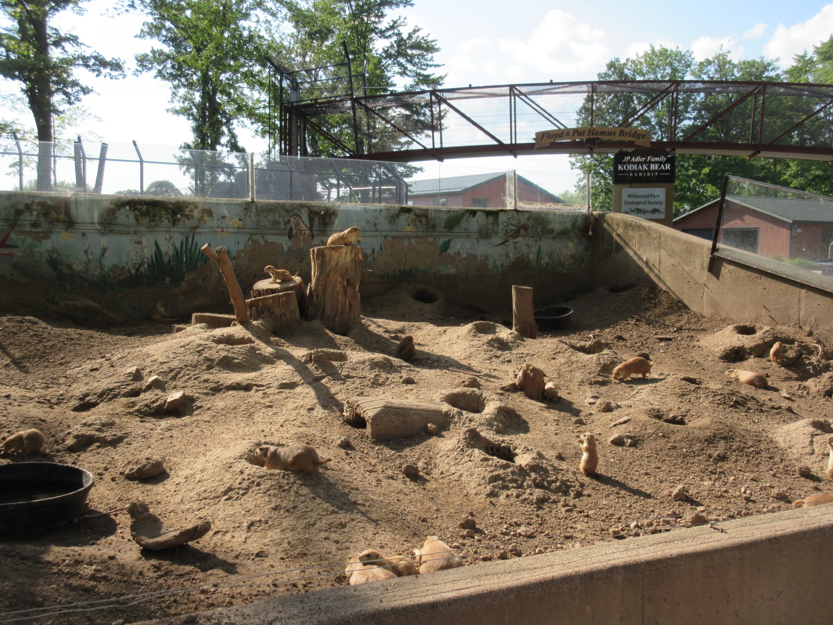 Black-tailed Prairie Dog Exhibit