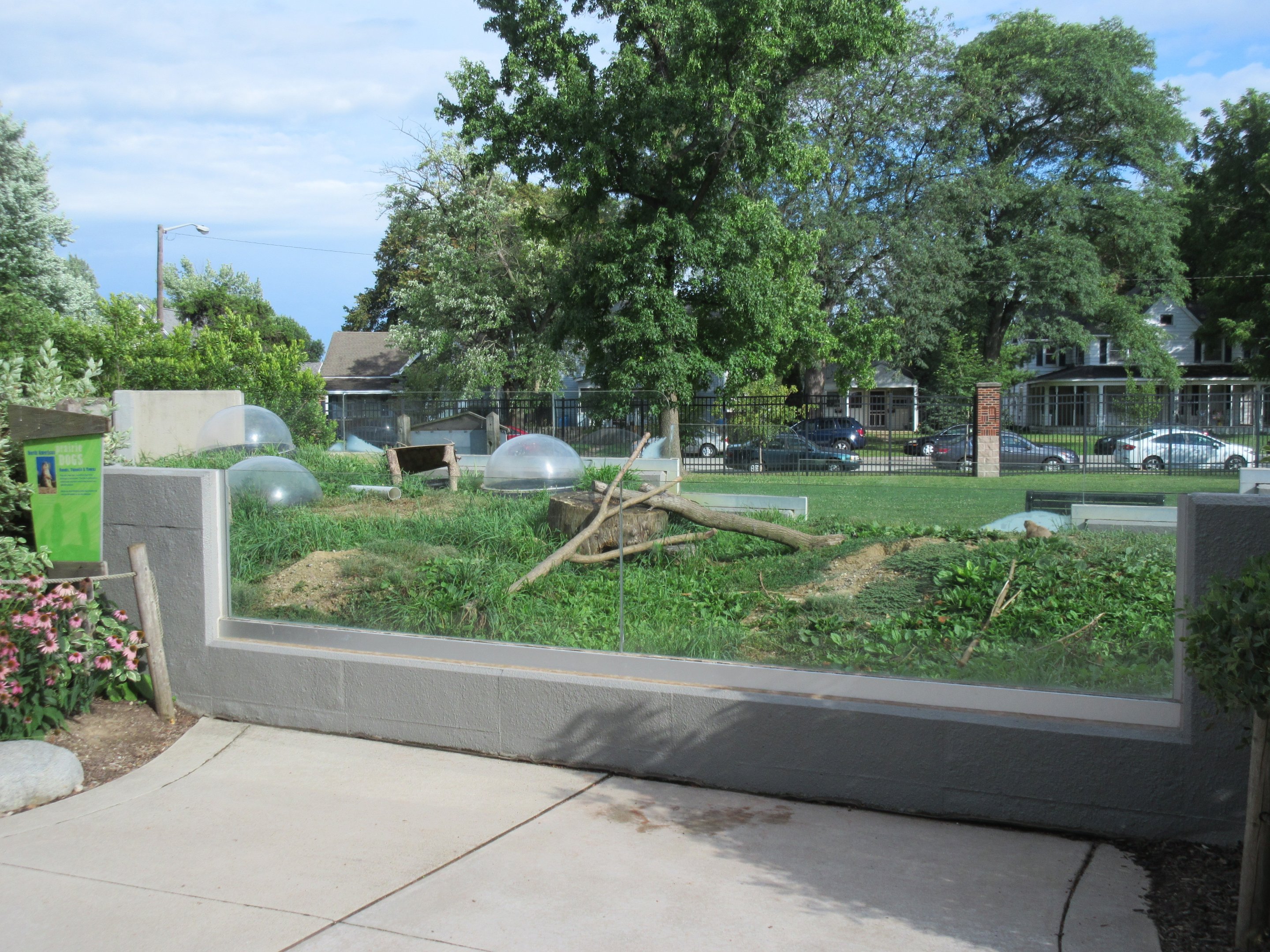 Black-tailed Prairie Dog Exhibit