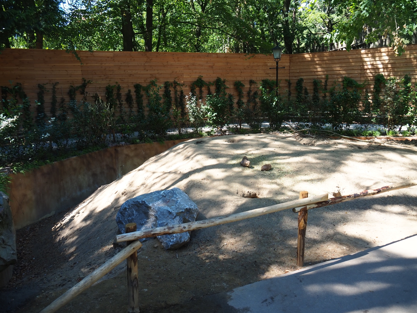 Black-tailed prairie dog exhibit