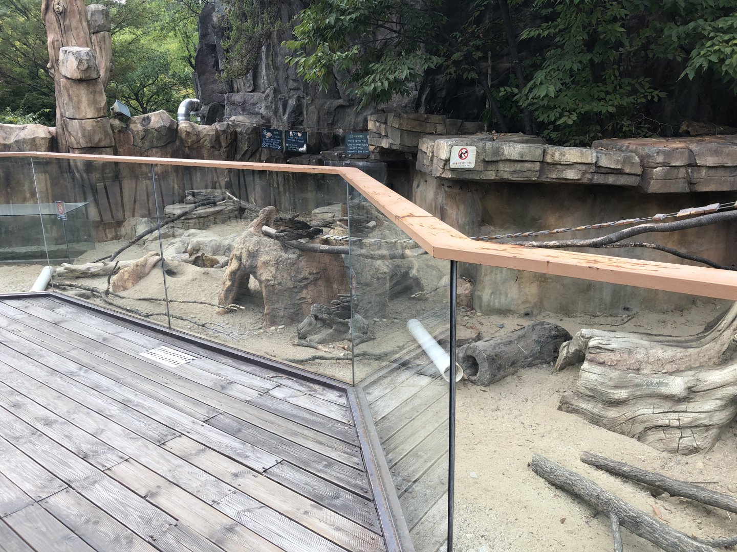 Black-Tailed Prairie Dog Exhibit