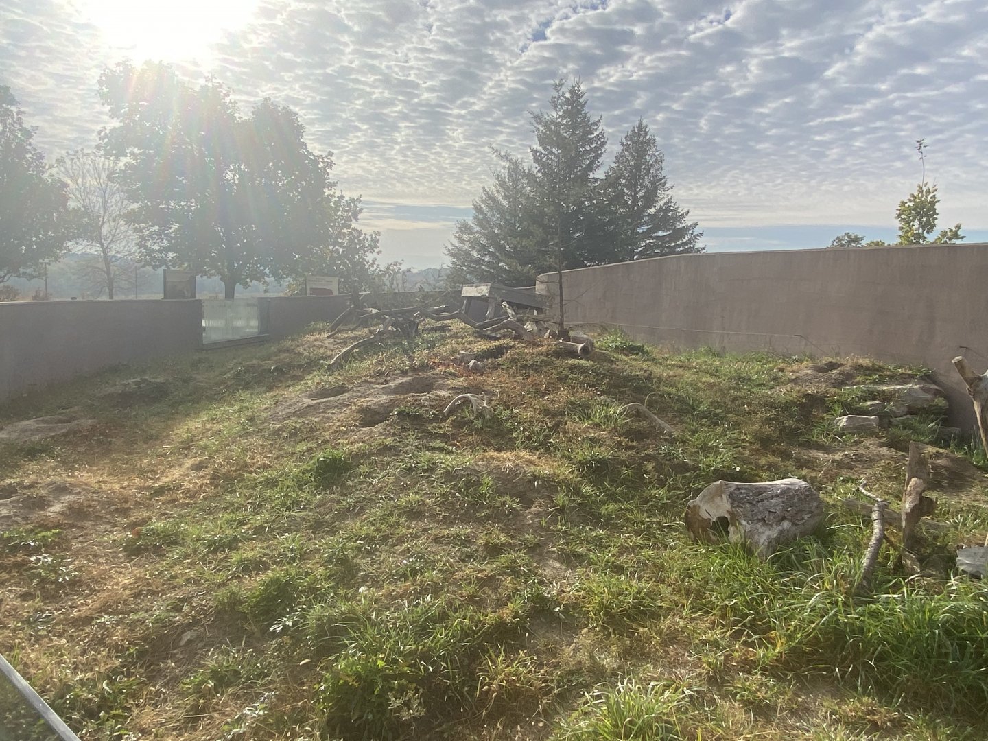 Black-Tailed Prairie Dog Exhibit