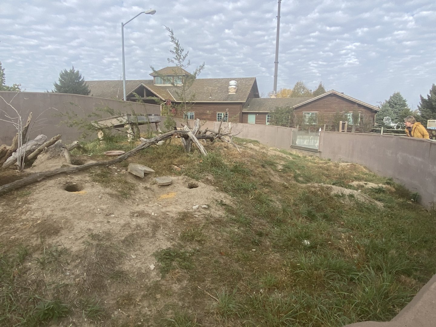 Black-Tailed Prairie Dog Exhibit