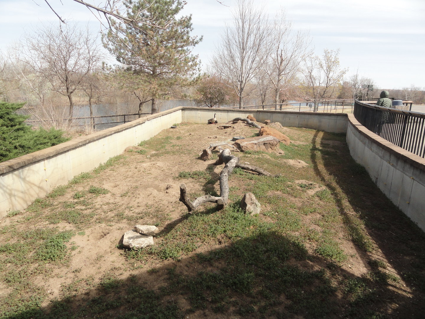 Black Tailed Prairie Dog Exhibit