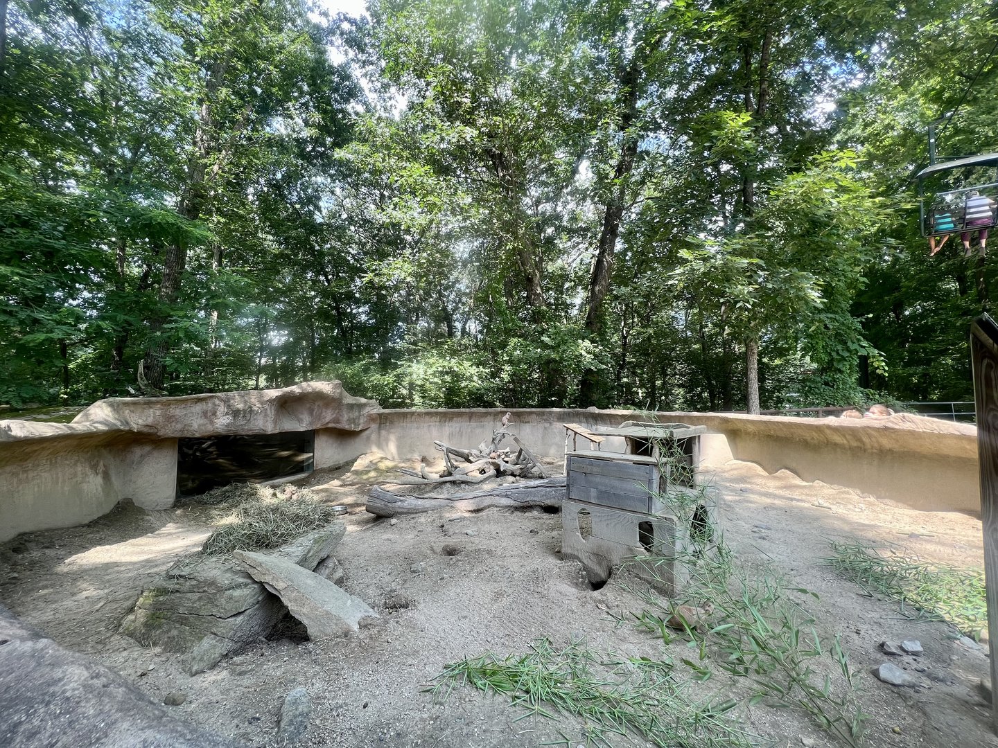 Black-tailed Prairie Dog Exhibit