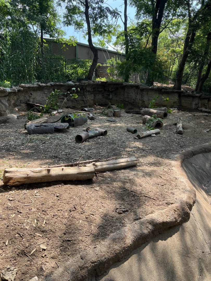 Black-Tailed Prairie Dog Exhibit