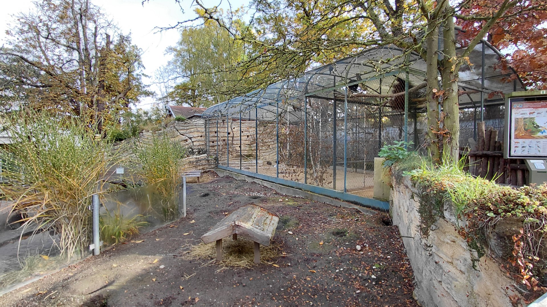Black-tailed prairie dog exhibit