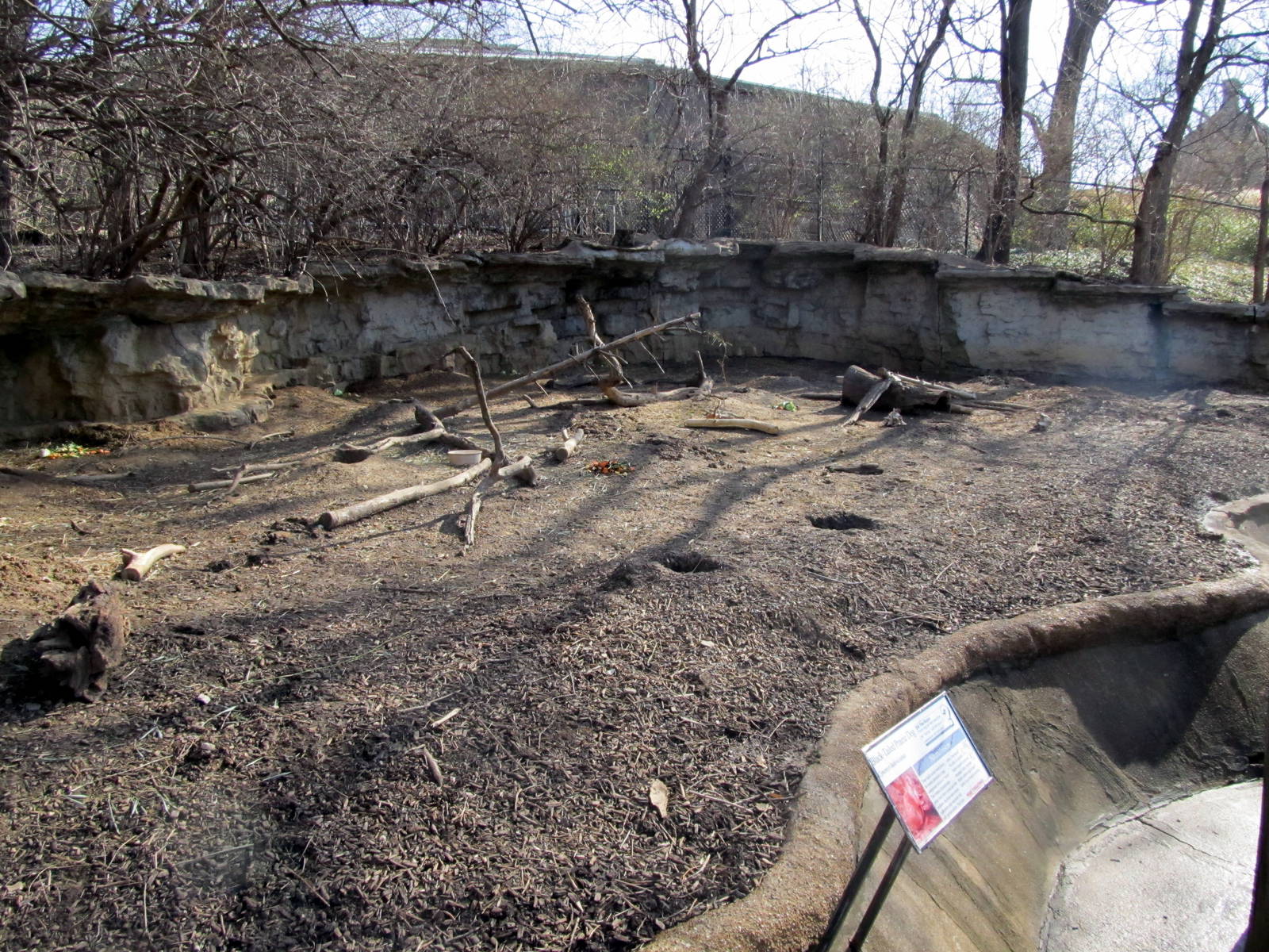 Black-tailed Prairie Dog Grotto