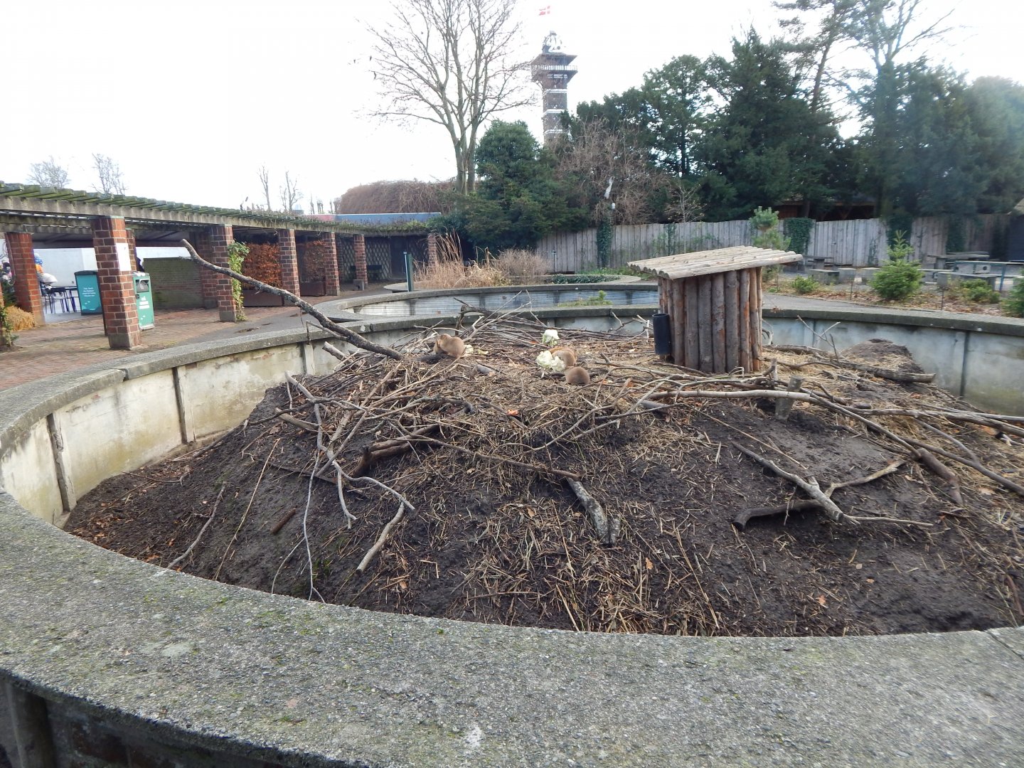Black-tailed prairie dog habitat 261124
