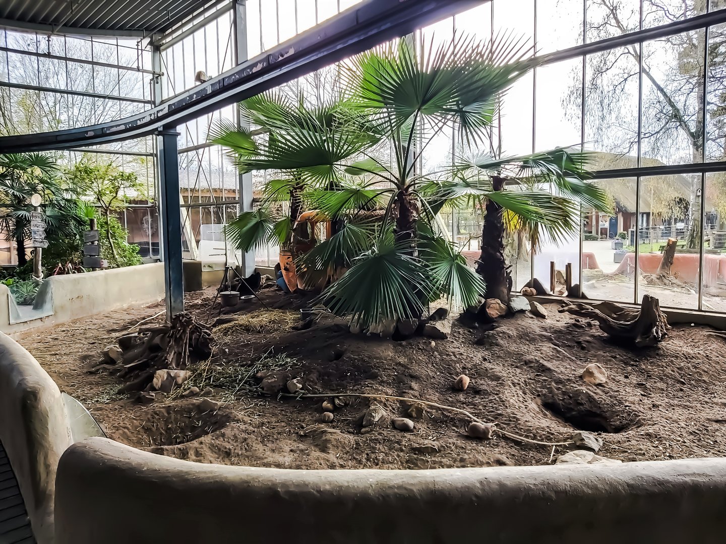 Black-tailed prairie dog indoor enclosure