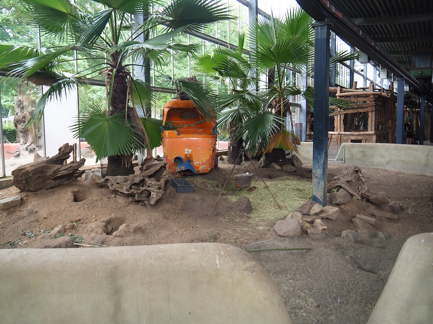 Black-tailed prairie dog indoor exhibit, 2023-08-17