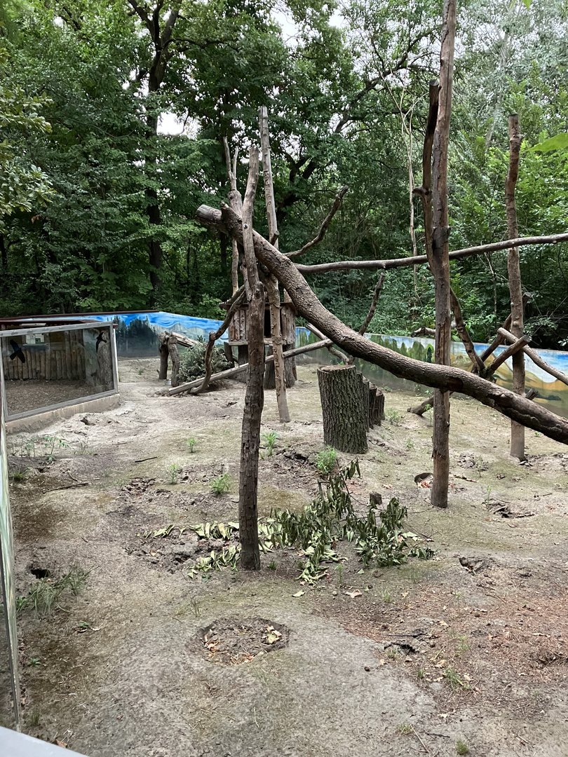 Black-tailed prairie dog/North American porcupine exhibit