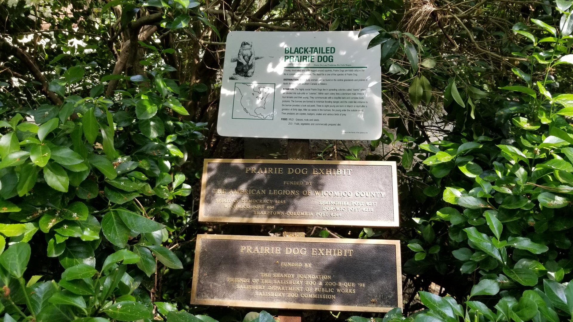 Black-tailed prairie dog sign