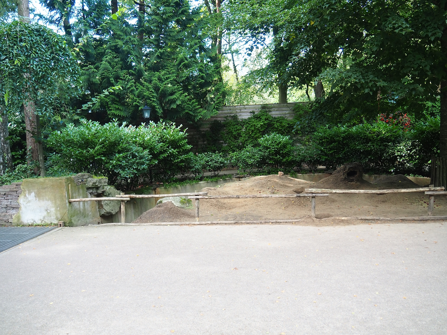 Black-tailed prairie dog walk-through exhibit - Main walkway and area between main and detour walkways, 2023-09-24