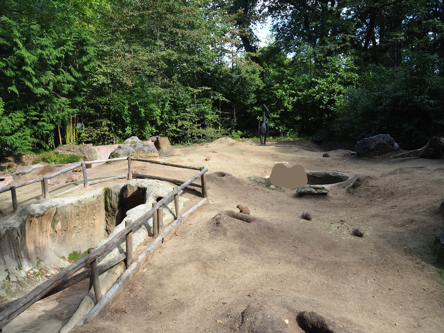 Black-tailed prairie dog walk-through exhibit, with visitor pop-up area, 2023-09-24