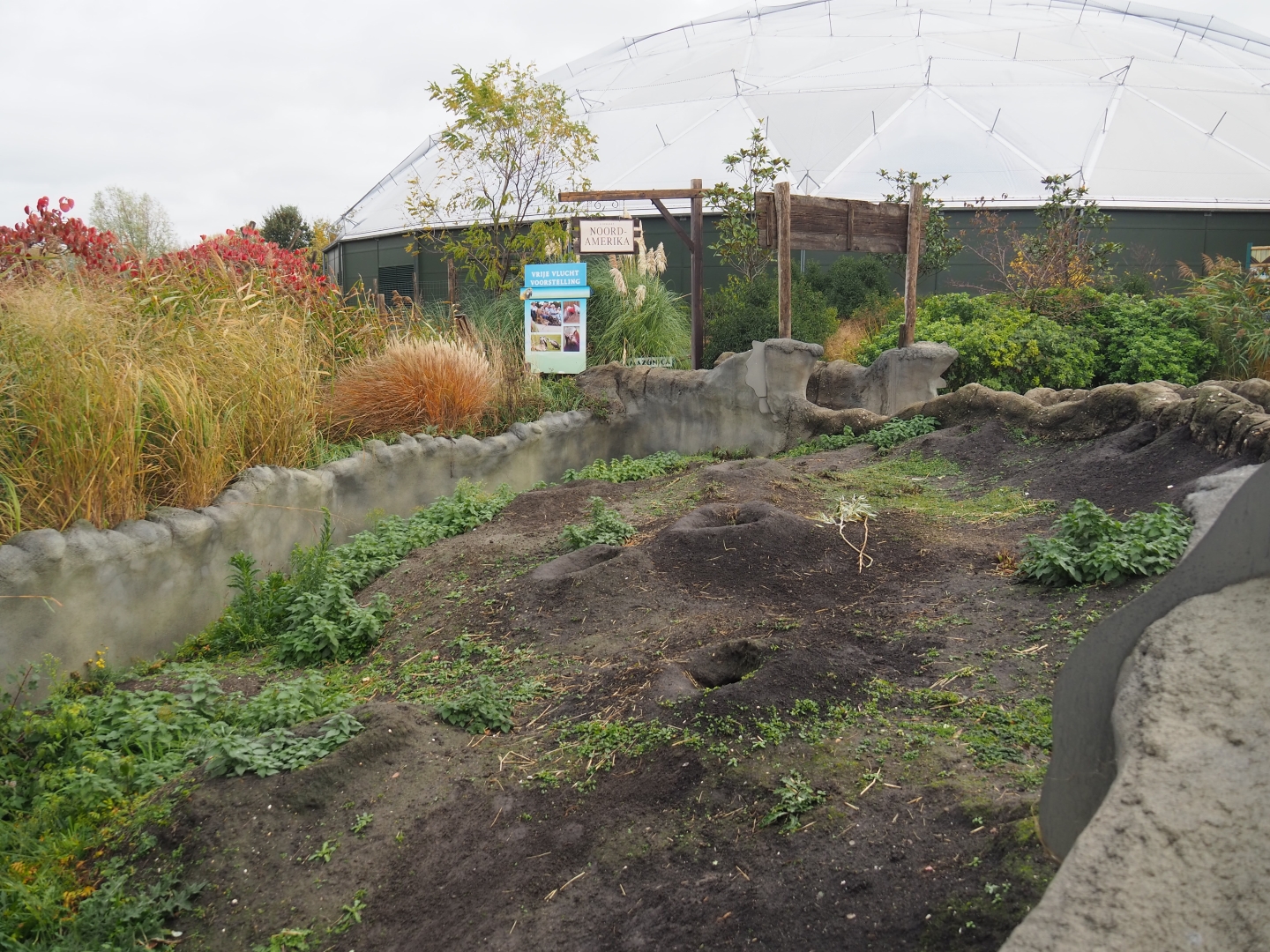 Black-tailed prairie dog walkthrough exhibit (Nov 10th, 2018)