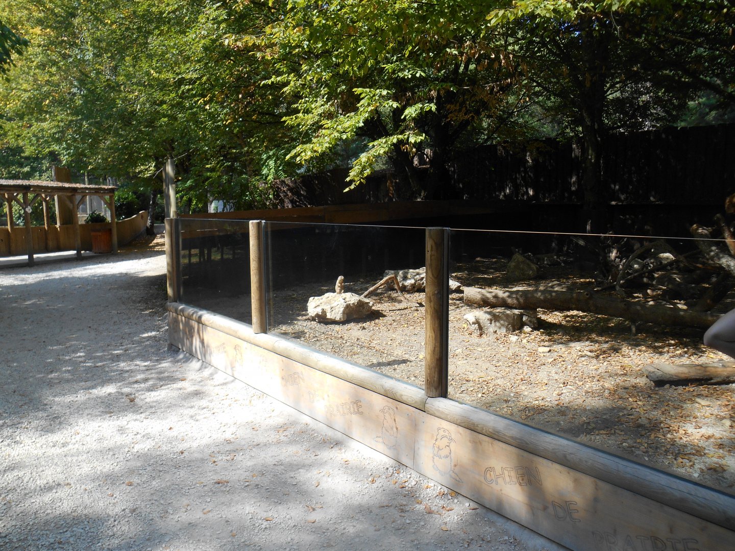 Black-tailed Prairie Dogs Exhibit