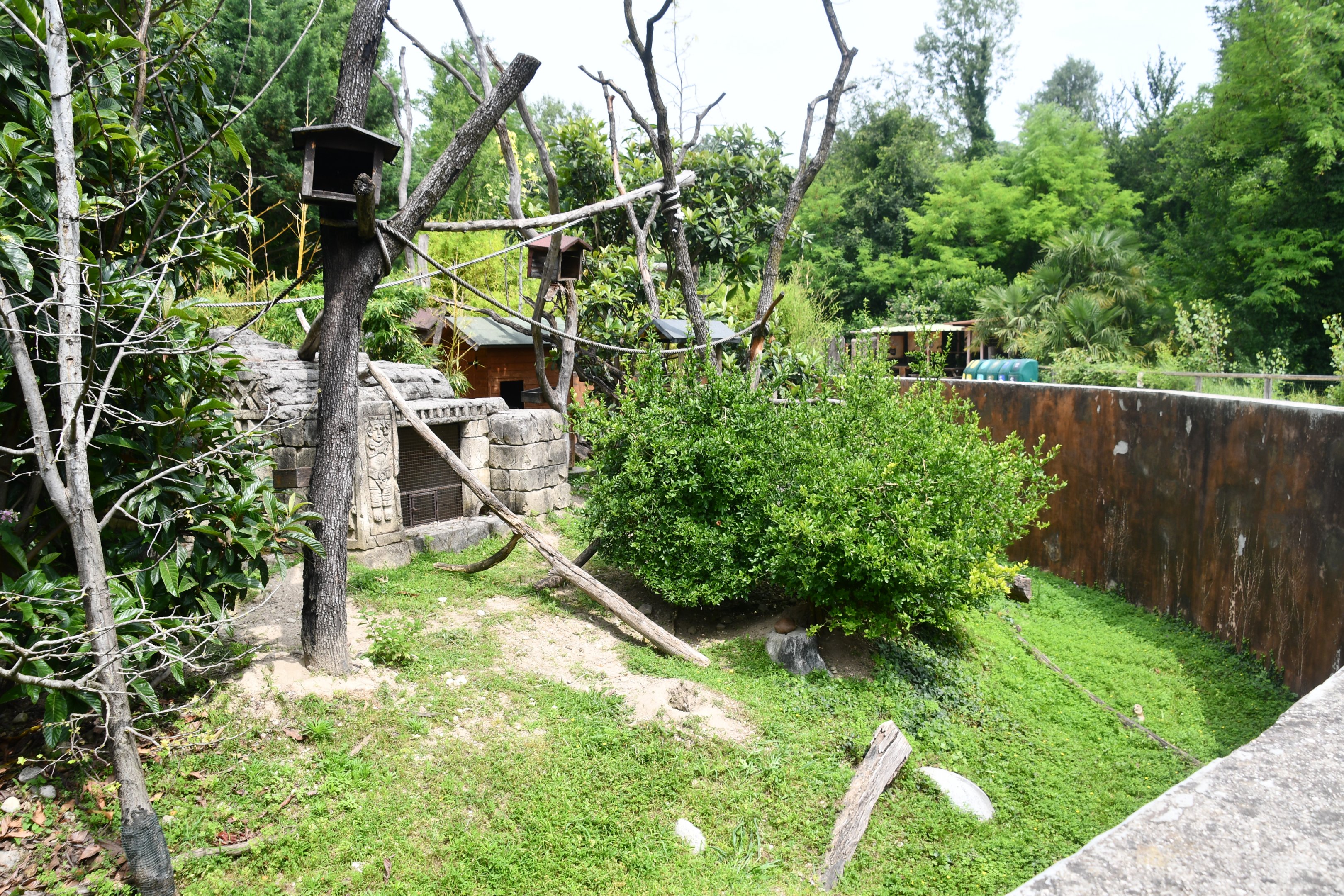 Black-tailed Prairie-Dogs/White-faced Saki/Geoffroy's Marmoset exhibit