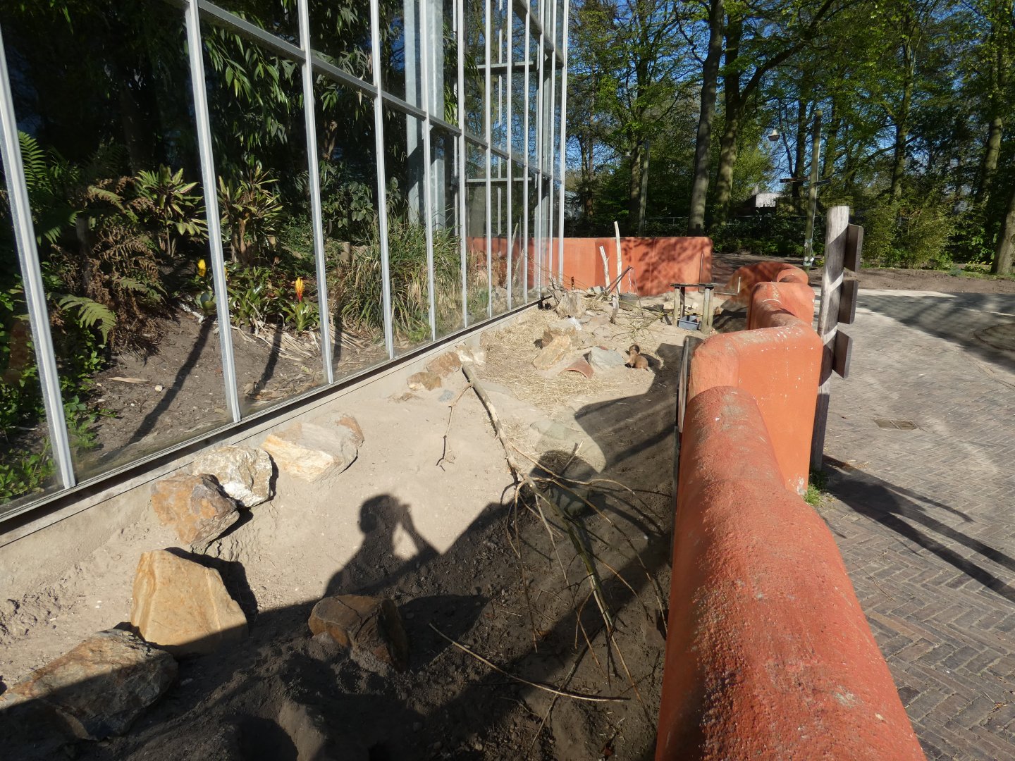 Black-tailed Prarie Dog enclosure