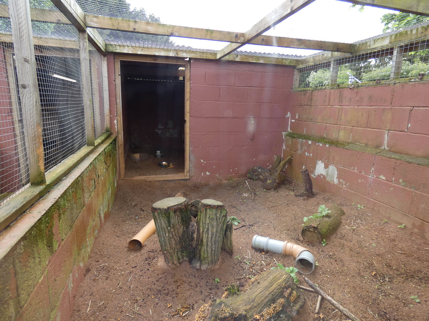 Black-tailed prarie dog enclosure