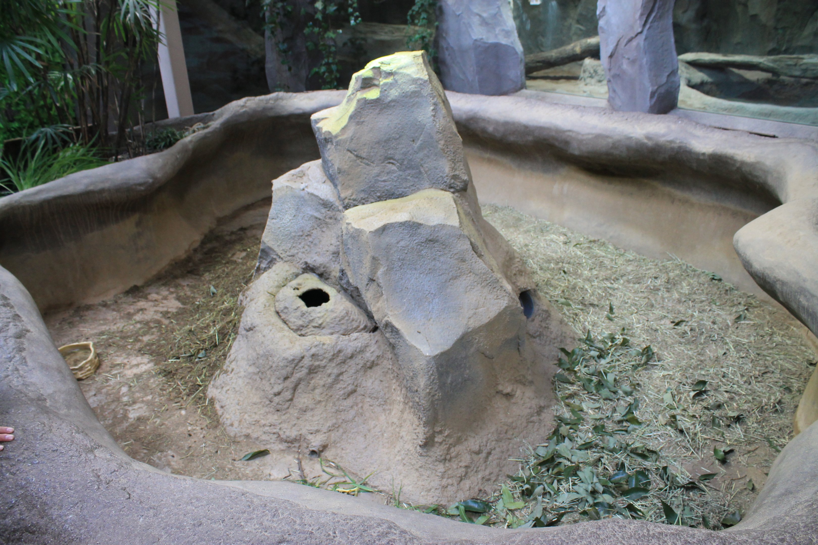 Black-tailed Prarie Dog enclosure